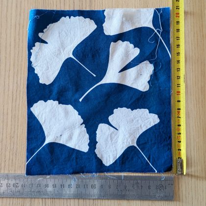 Ginkgo - 12,5cm