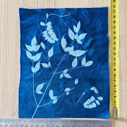jolie branche - 12,5cm