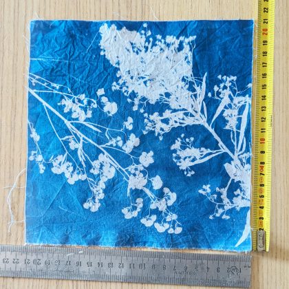 duo de branches - 15cm