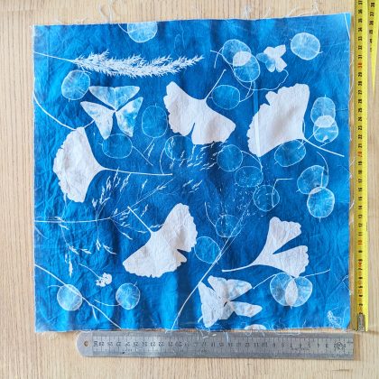 Ginkgo and co - 22cm